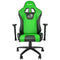 Dragon War  GC-004 Ergonomic Gaming Chair , 2D Armrest - Green/Black-smartzonekw