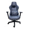 Dragon War  GC-022 Ergonomic Gaming Chair , 4D Armrest - Gray-smartzonekw