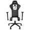 Dragon War  GC-004 Ergonomic Gaming Chair , 2D Armrest - White/Black-smartzonekw
