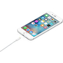 Apple Lightning to USB Cable 0.5 Meter - smartzonekw