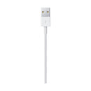 Apple MD819 Lightning to USB Cable 2M - White - smartzonekw
